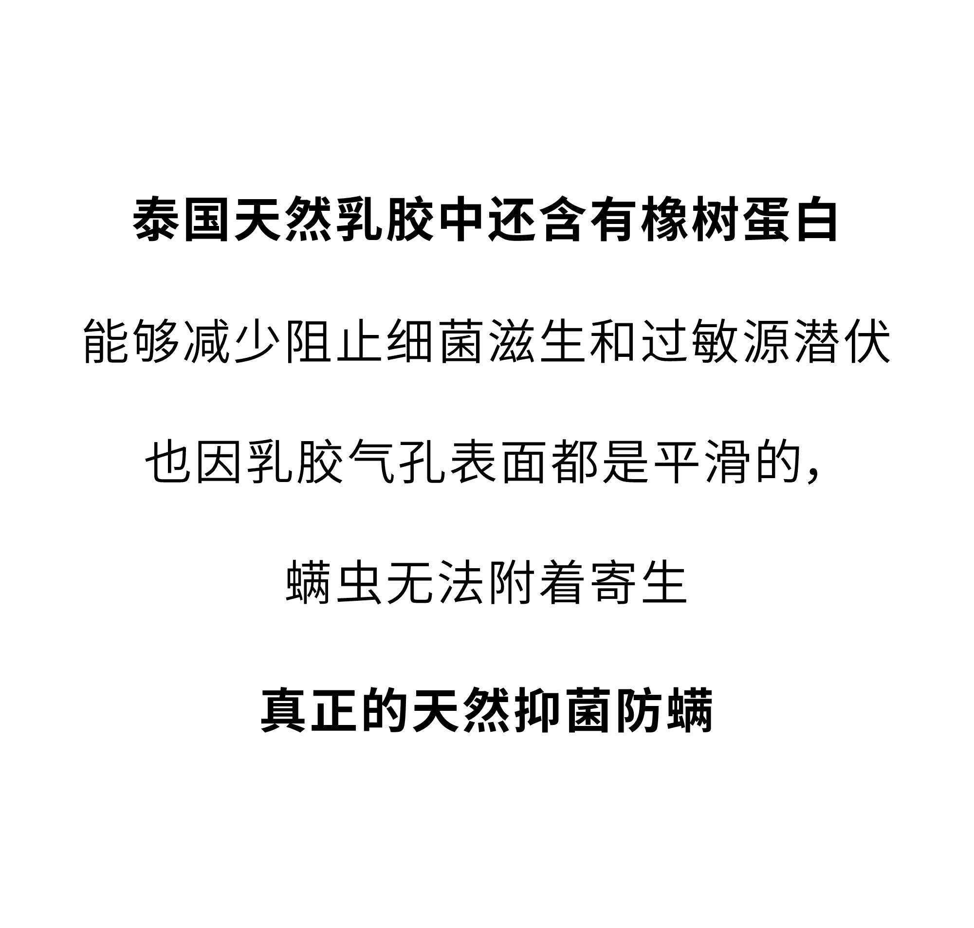欢迎和小鲜胶一起，每天睡好觉！