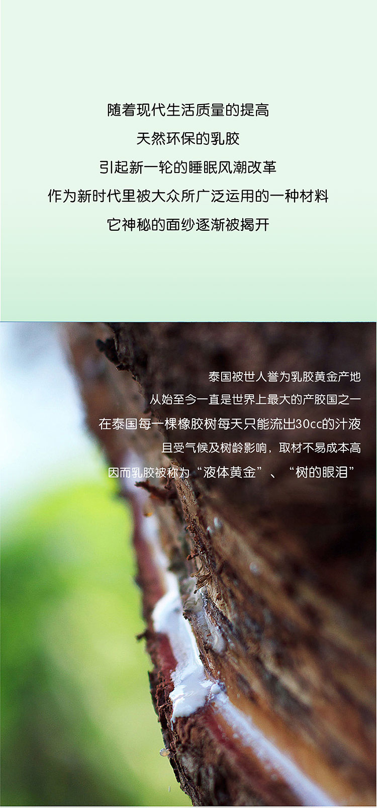 欢迎和小鲜胶一起，每天睡好觉！
